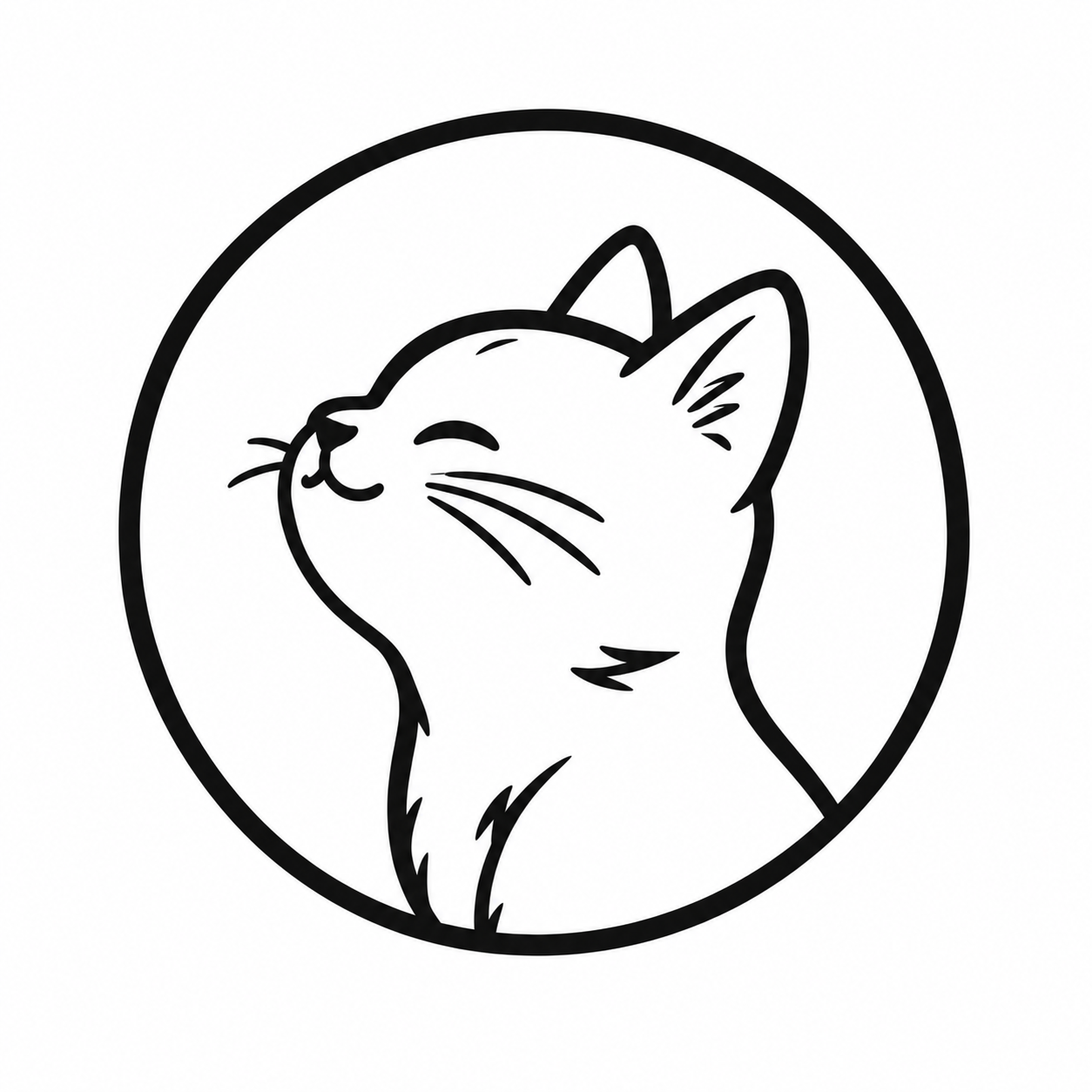 TOK（トック）プロフィール